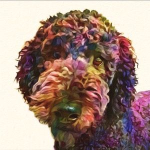 LIVE NOTIFICATION! Custom Jewelry and Luxury Show